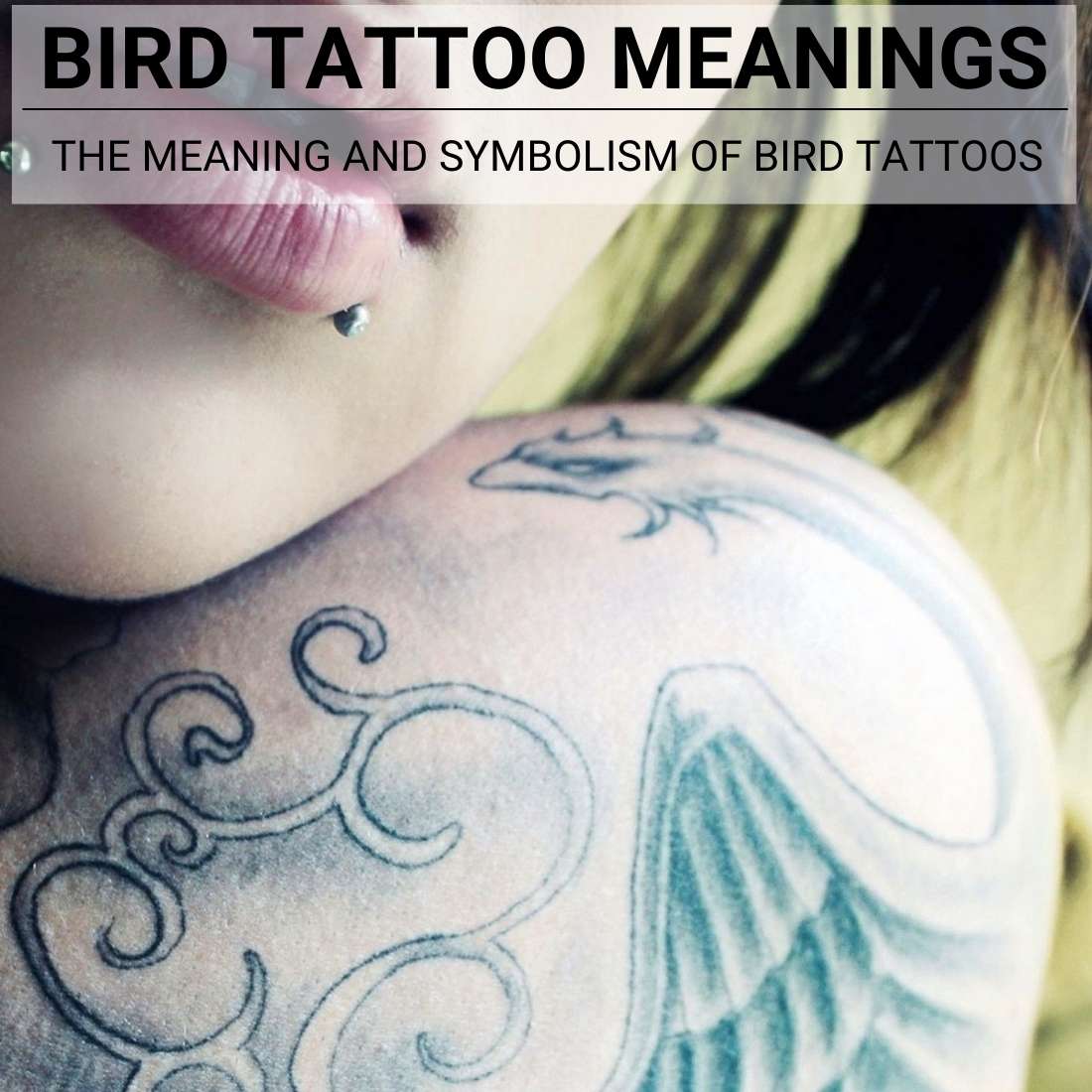 The Bird Tattoo Meaning Decoded: Symbolism And Inspirations