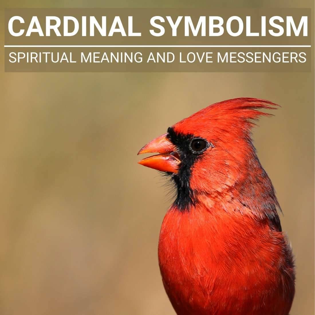 Cardinal Symbolism