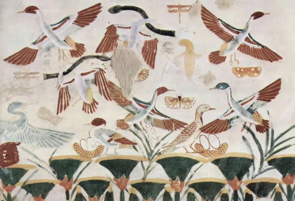 Symbolic Animal Meanings & Photoblog
