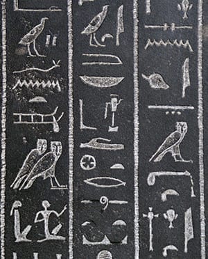 Egyptian Bird Symbol The Secrets Behind The Bird God
