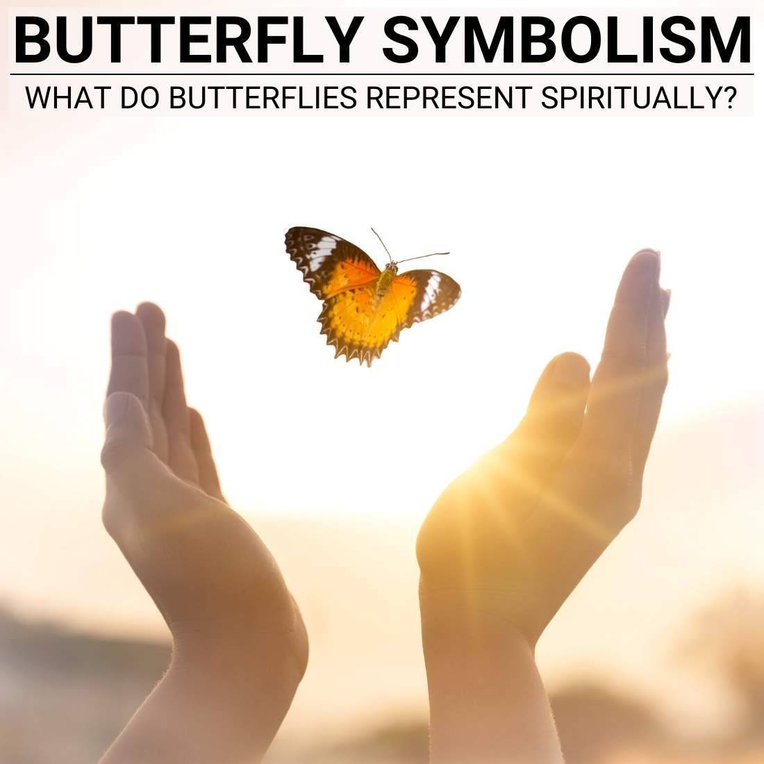 Butterfly Symbolism