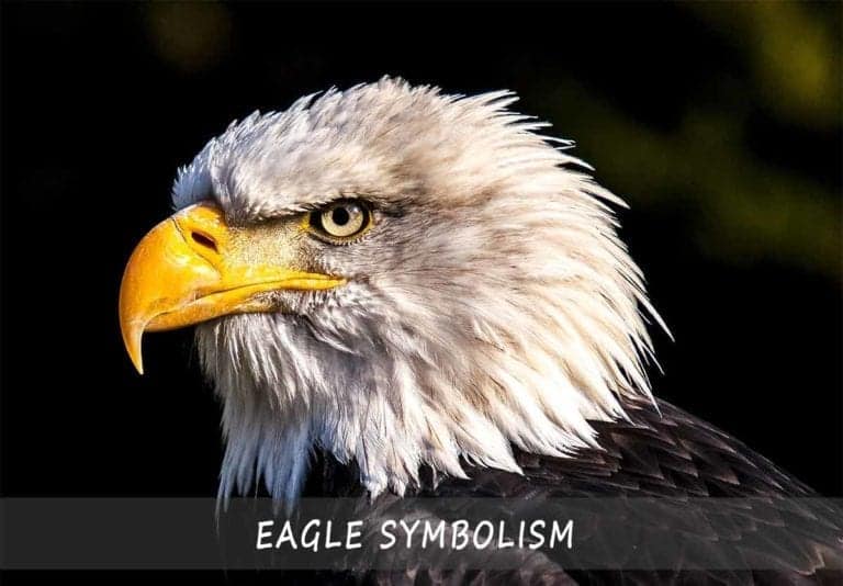 Eagle Symbolism