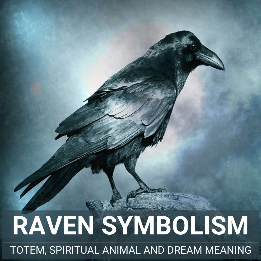 Raven Symbolism - Totem, Spiritual Animal And Dream Meaning