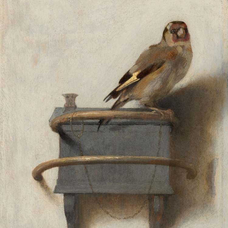 Fabritius-goldfinch