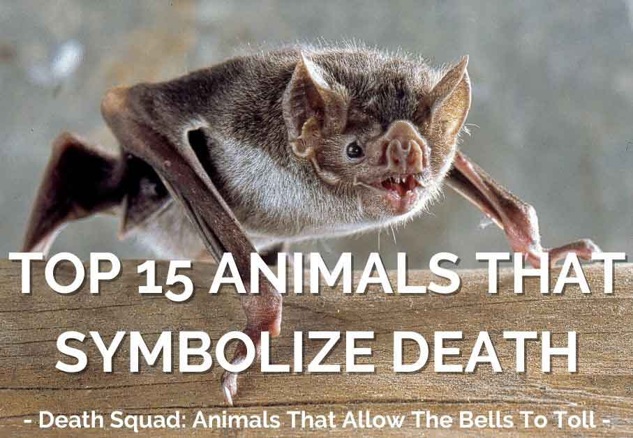 Animals Symbolizing Death