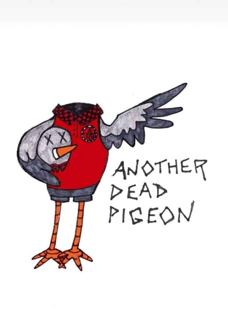 Dead Pigeon Symbolism