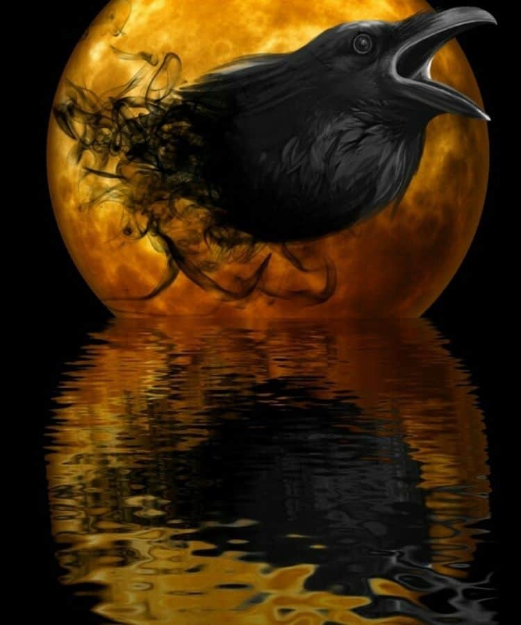 Spiritual Meaning of the Black Crow