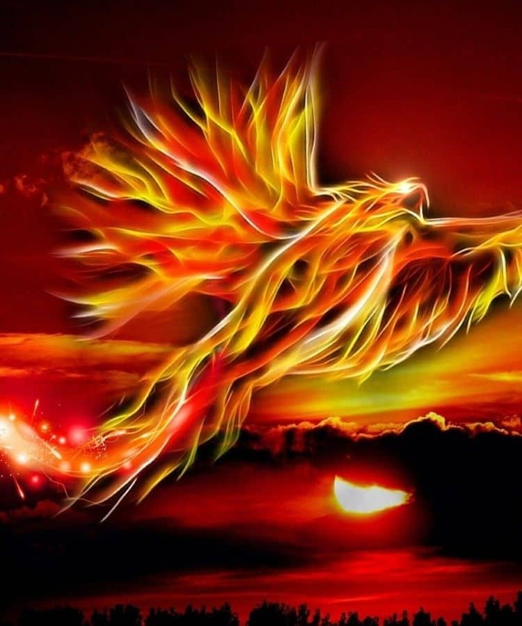 phoenix bird in dream What Animals Symbolize Growth And Progress