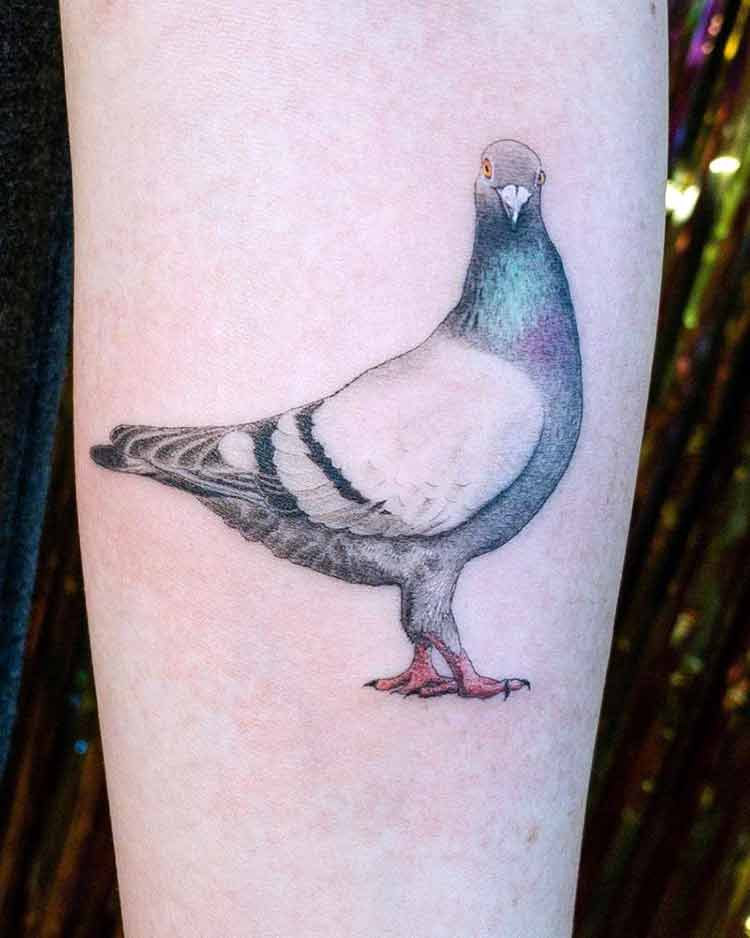 pigeon tattoo meaning