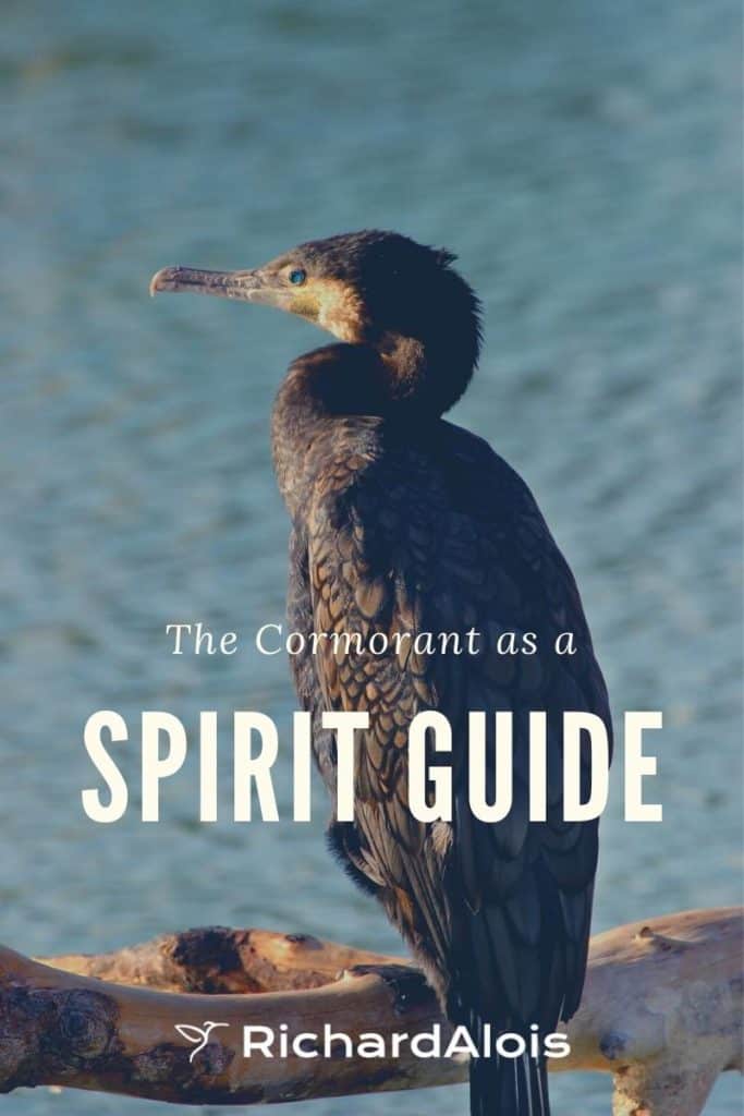 Coromorant Spirit Guide
