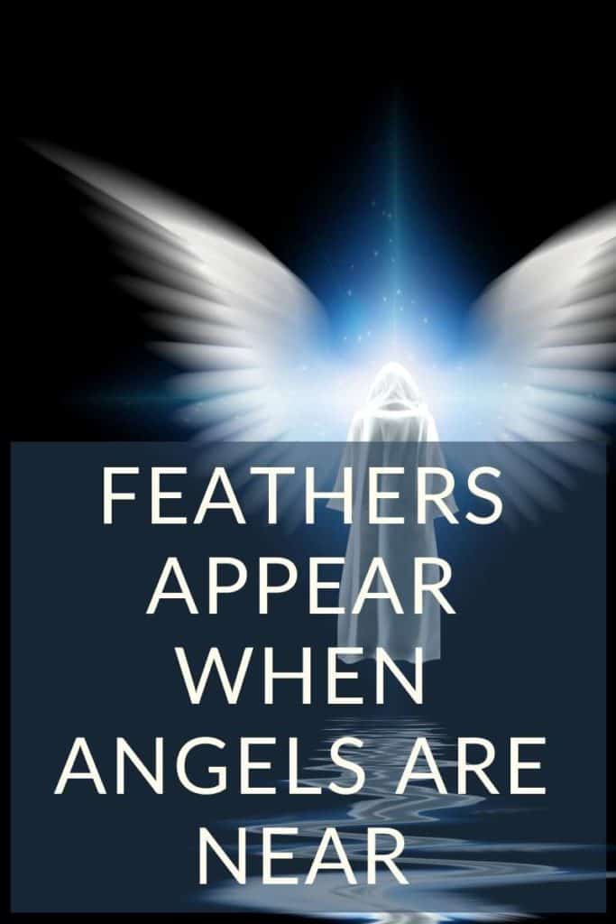 Feathers appear when angels are near