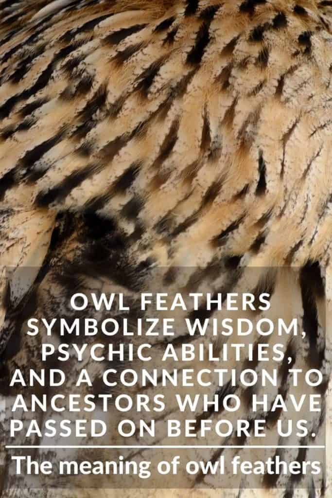 owl feather wisdom Unlock the Secrets: Owl Feather Meaning and Symbolism