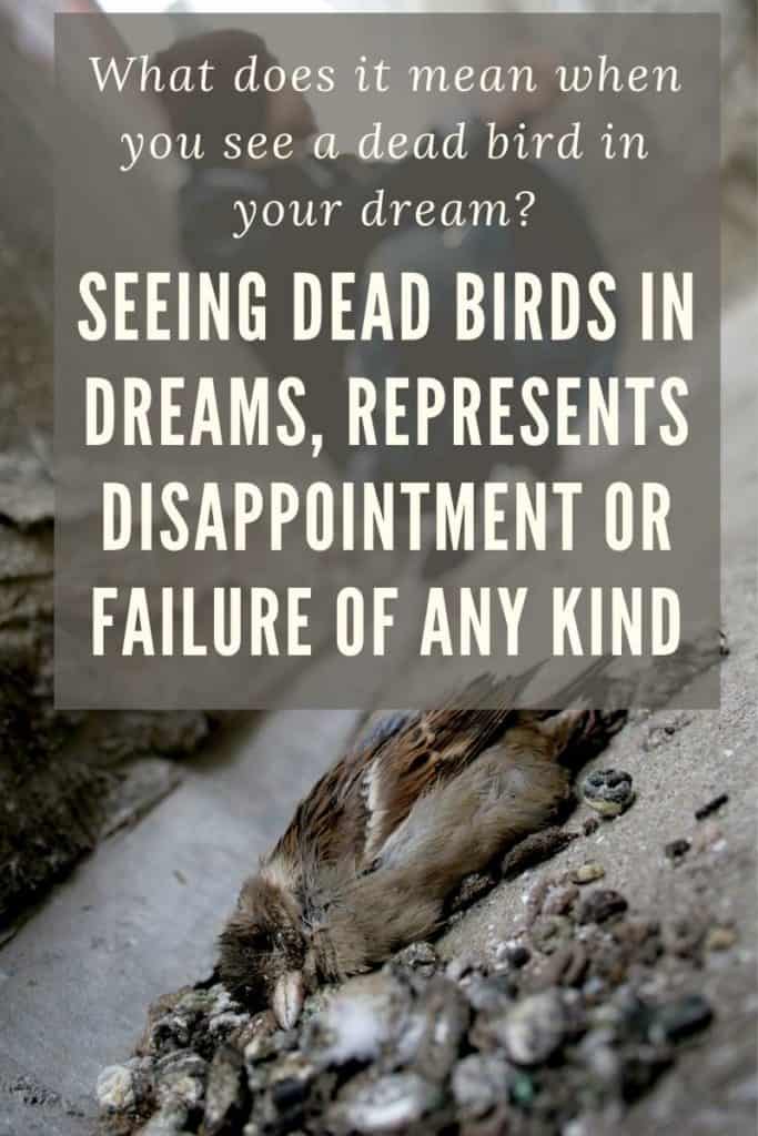 seeing dead birds in a dream