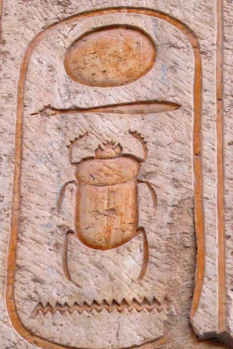 The World Of Beetle Symbolism Exploring Their Significance