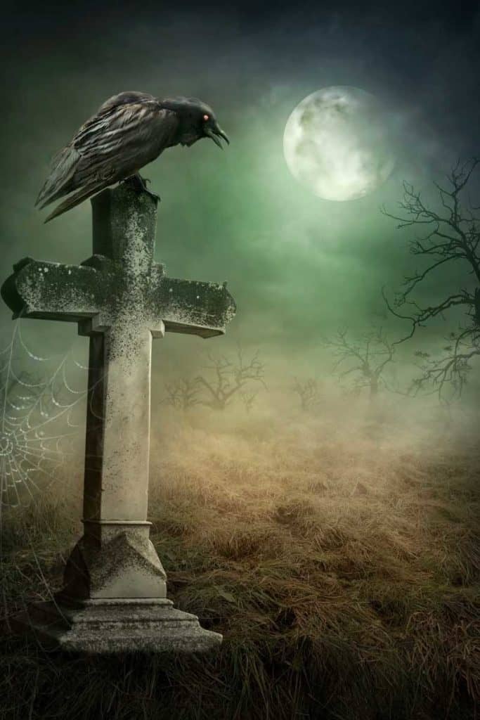 dead crow message Interpreting a Dream in Which a Bird Is Found Dead