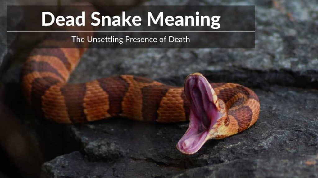 dead snake meaning
