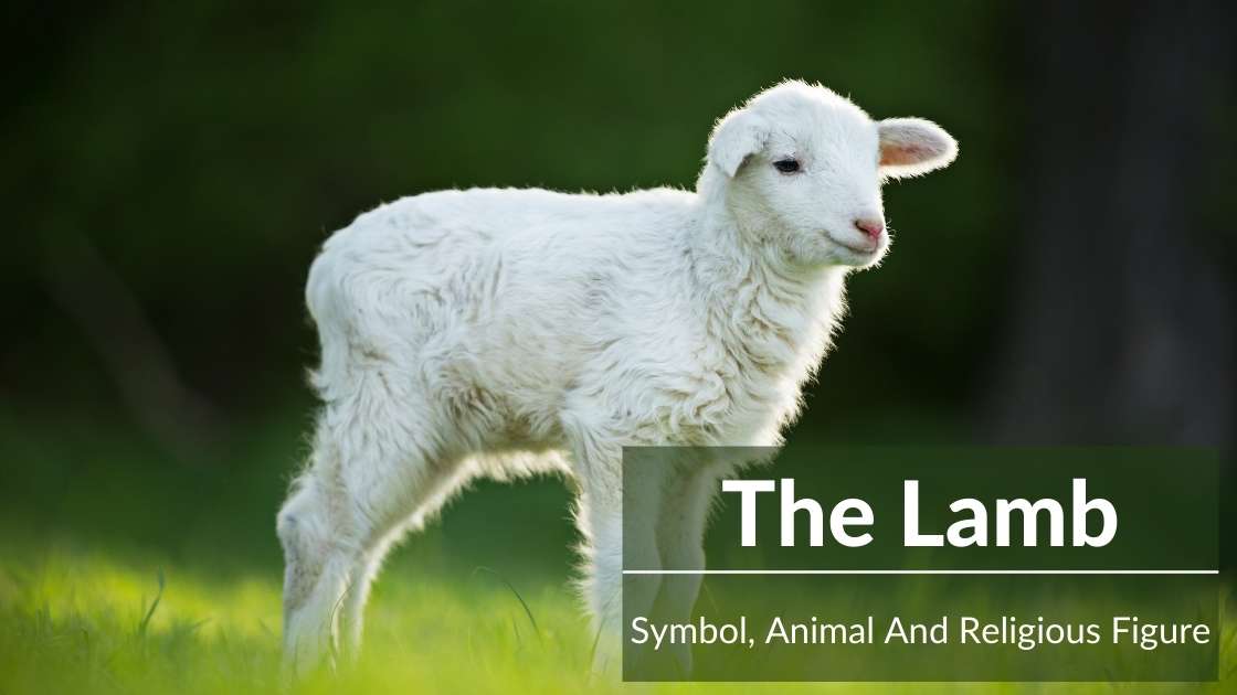 lamb symbolism2 Animal Symbolism