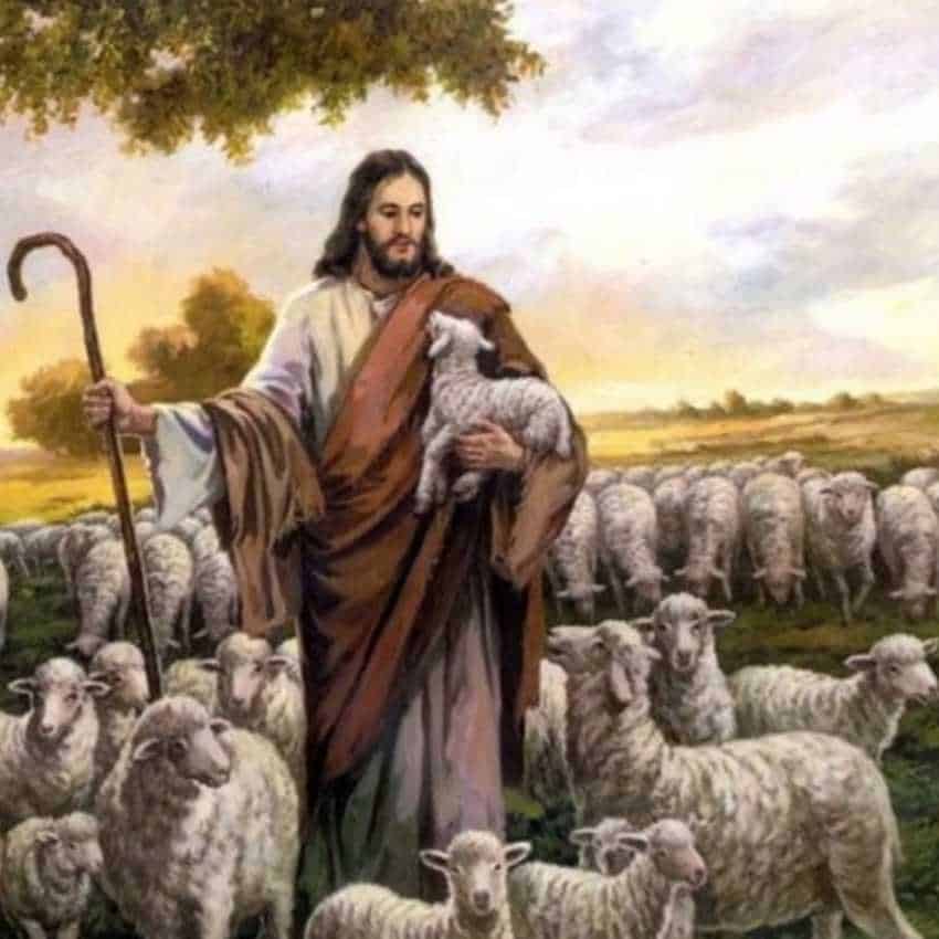 sheep symbolism christianity The Deep Meanings Behind Sheep: Dreams, Cultures & Spirituality