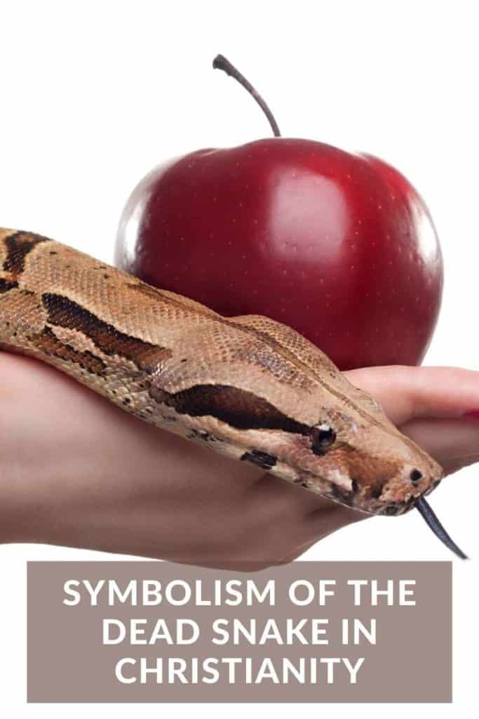 symbolism of the dead snake in Christianity