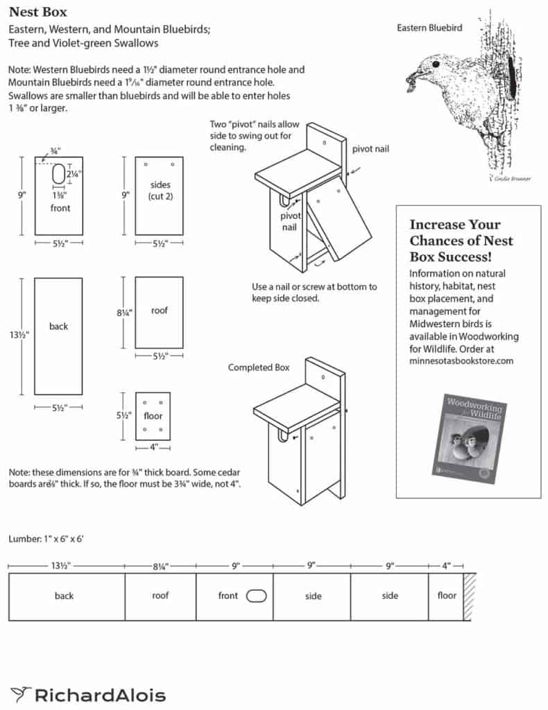 tree swallow bird house Build a Swallow Bird House: Step-by-Step DIY Guide