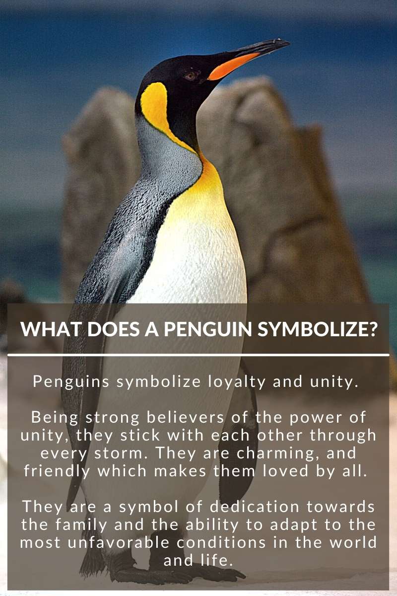 what does a penguin symbolize