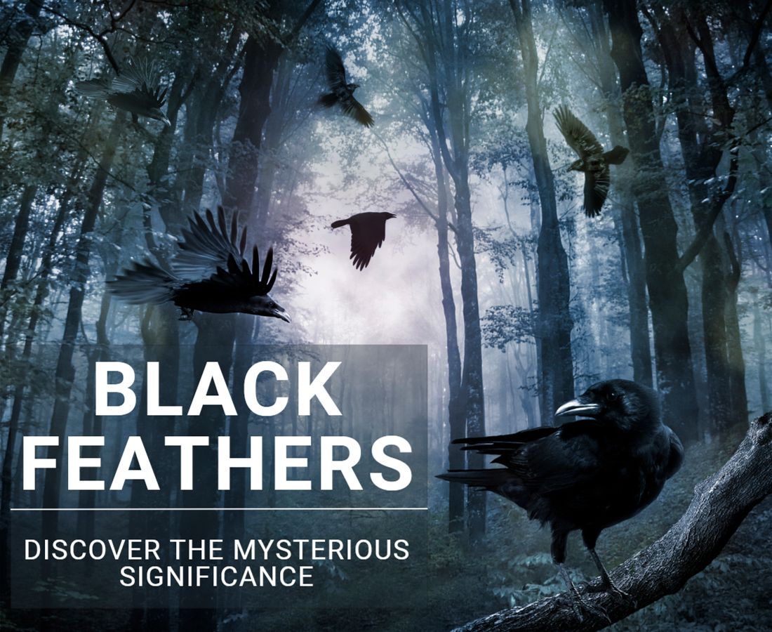 Black Feathers meaning