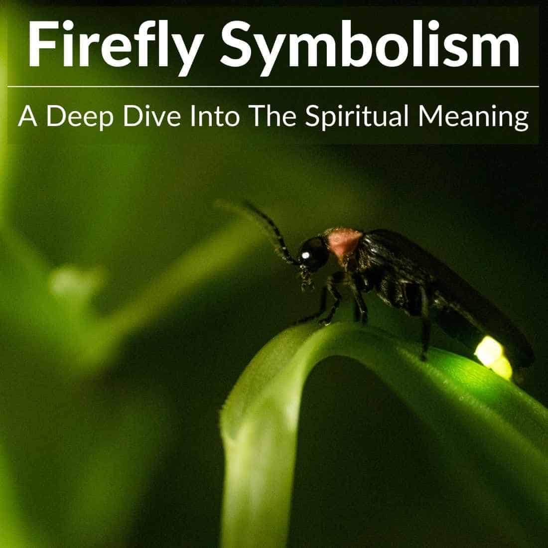Firefly symbolism