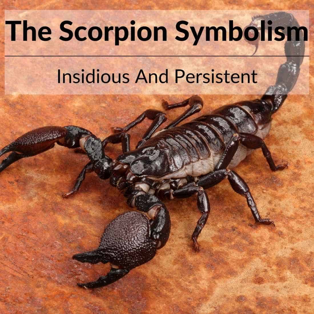 Scorpion symbolism