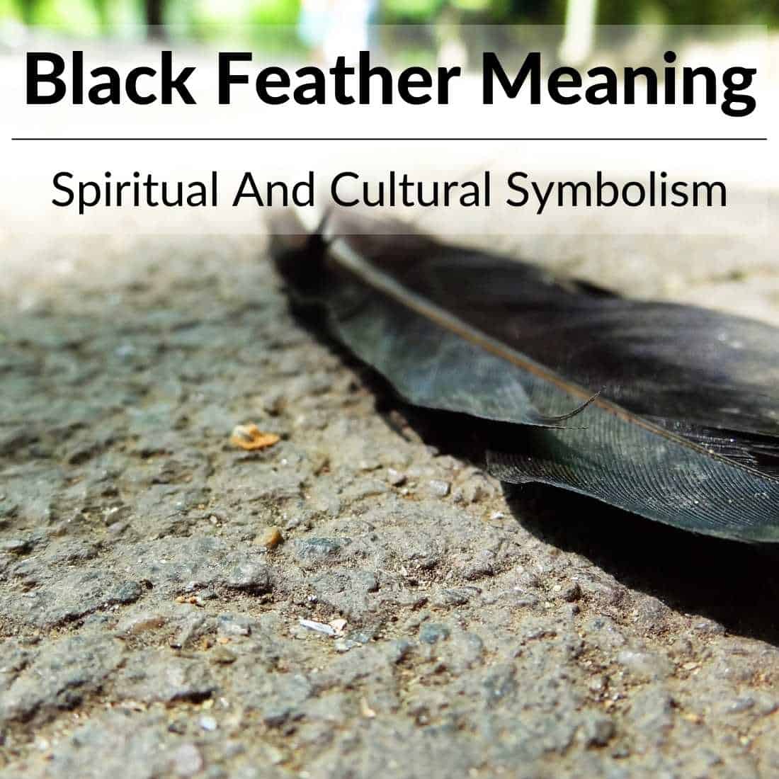 Black Feather Meaning and Symbolism - Read This When You Found One