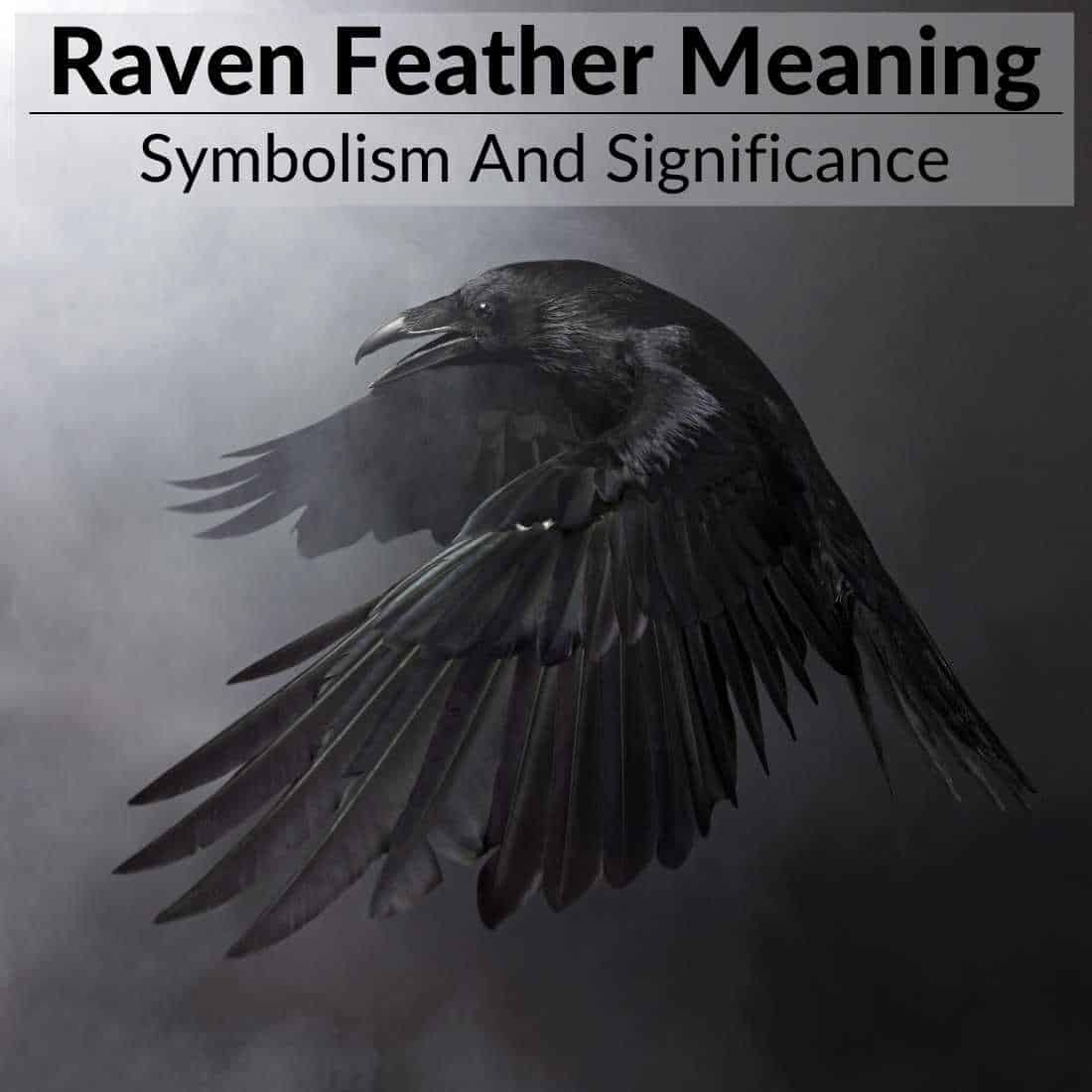 raven-feather-meaning