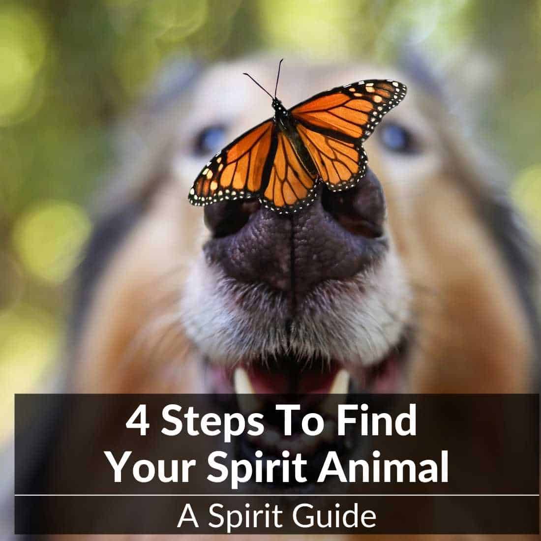 steps to find spirit animal