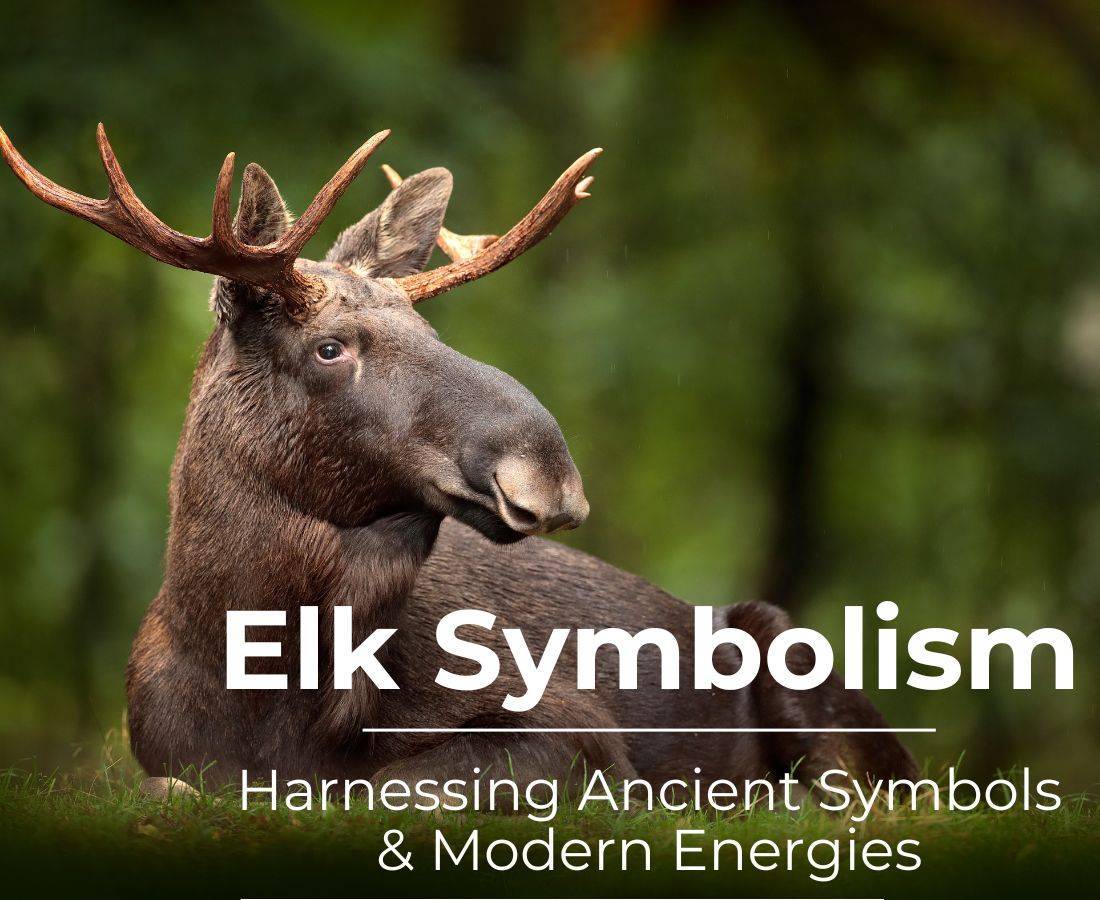 Elk Symbolism