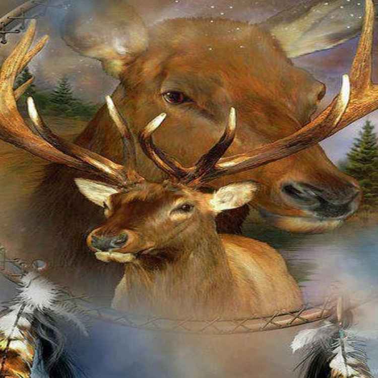 Elk Symbolism: Gain A Partnership With The Universe - A Full Guide Elk Symbolism: Gain A Partnership With The Universe - A Full Guide