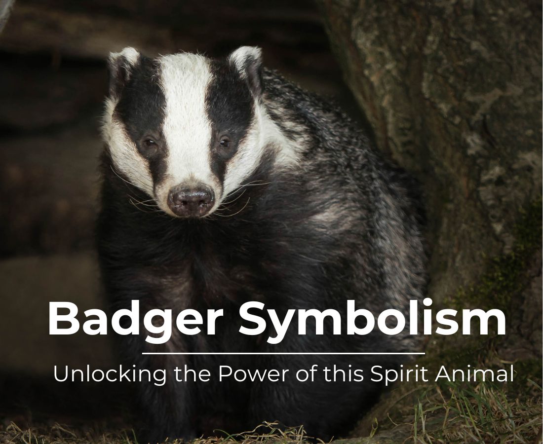 badger symbolism