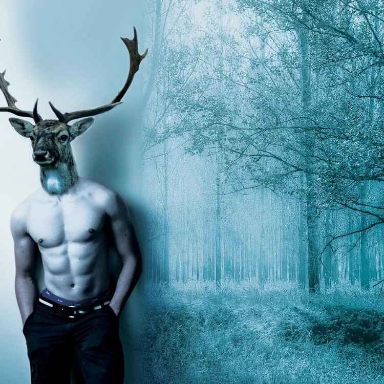 stag in dreams