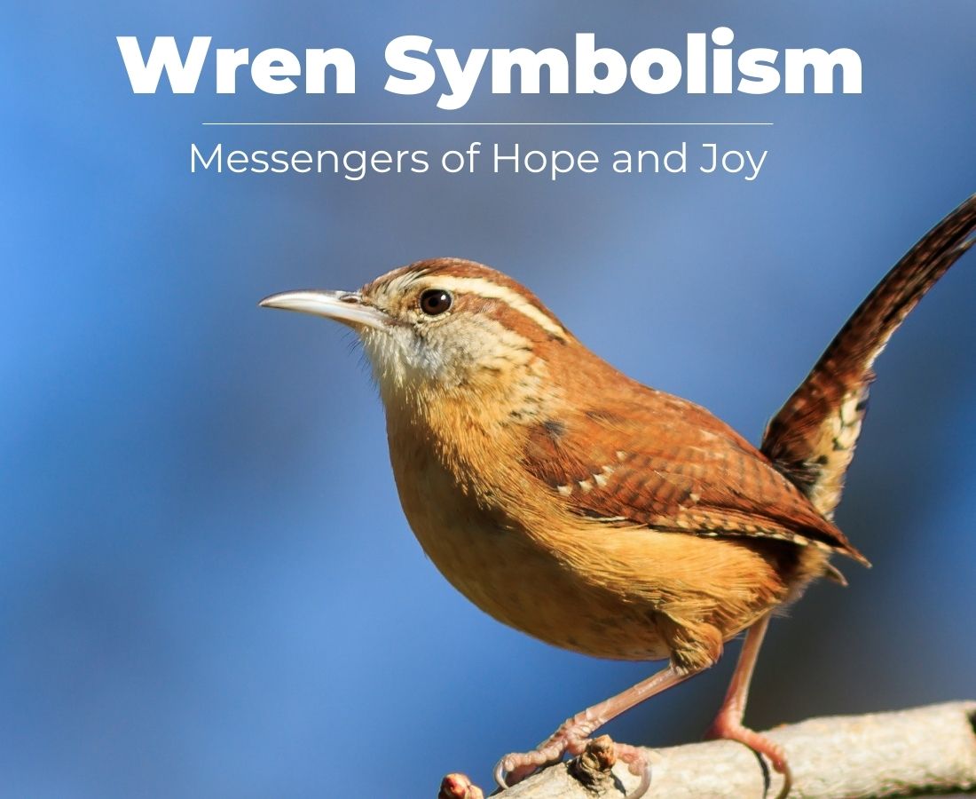 wren symbolism
