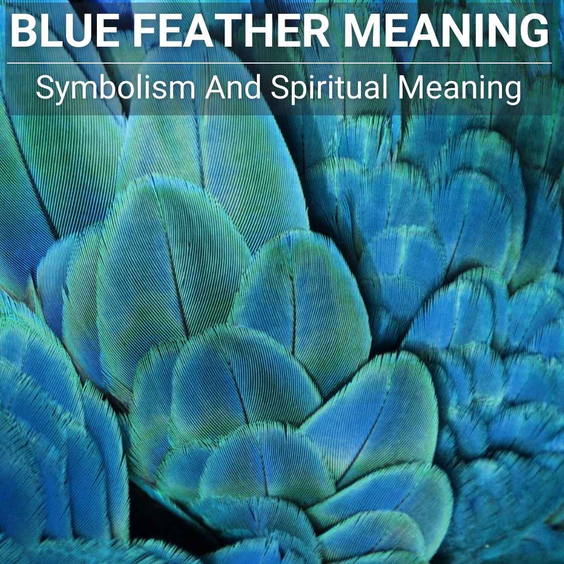 Blue Feather Meaning