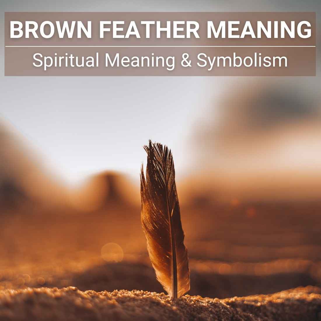 Brown Feather Meaning