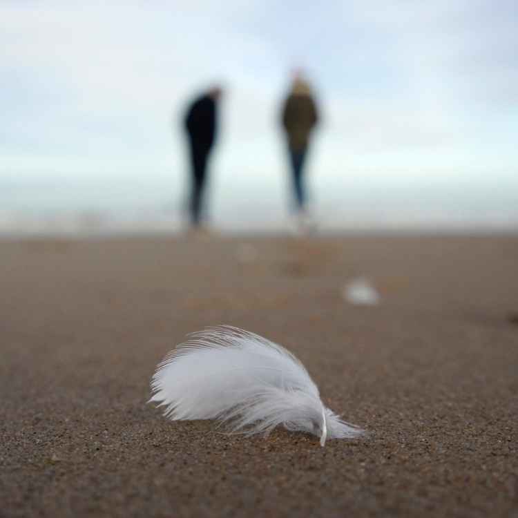 Spiritual meaning white feather