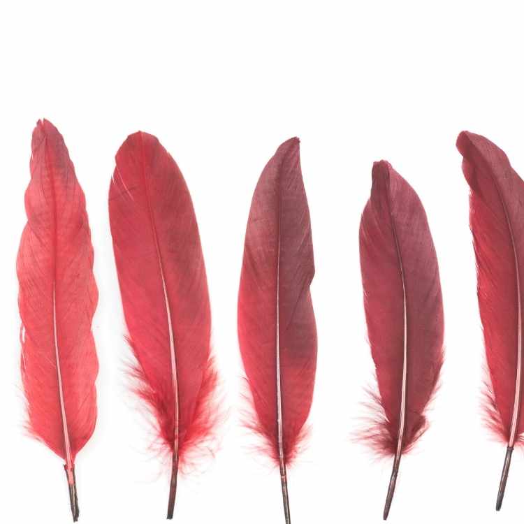 What does a red feather mean