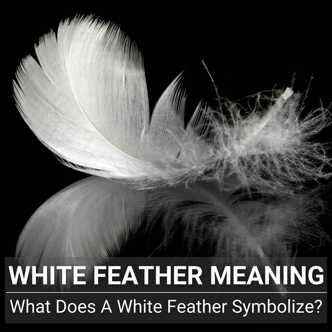 White Feather Meaning