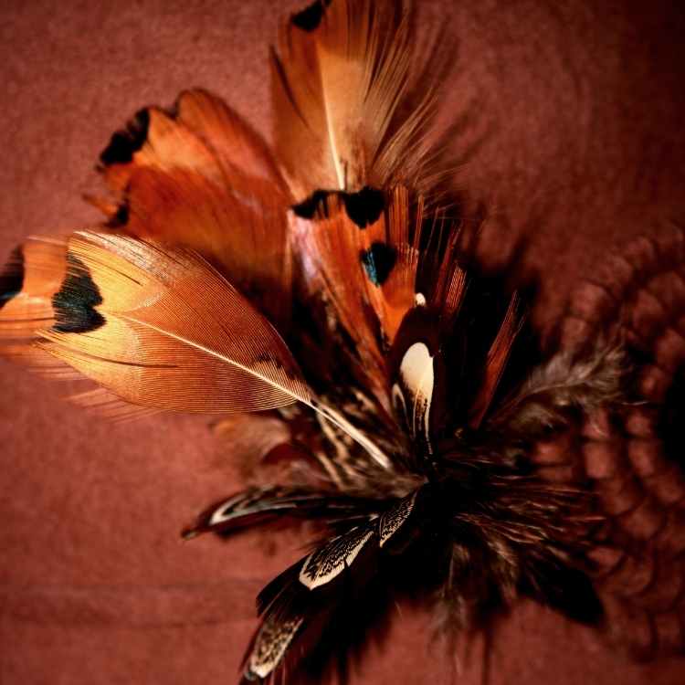 spiritual meaning brown feather