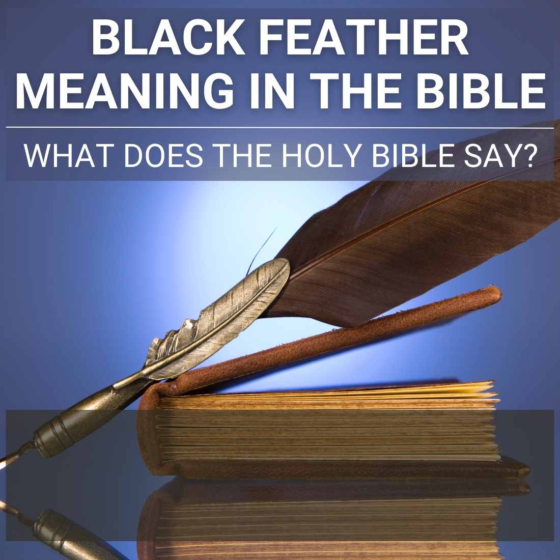Black Feather Meaning In The Bible