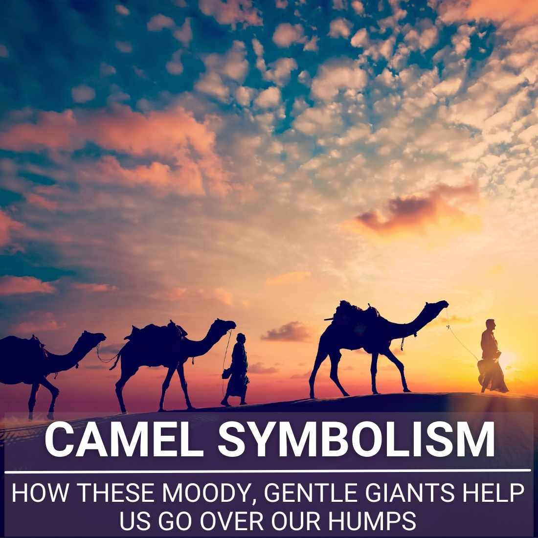Camel Symbolism