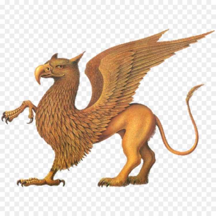 griffin meaning Griffin Symbolism: Why They Should Be Your Most Sought After Imaginary Friends