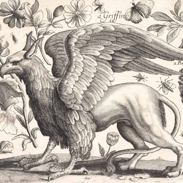 griffin