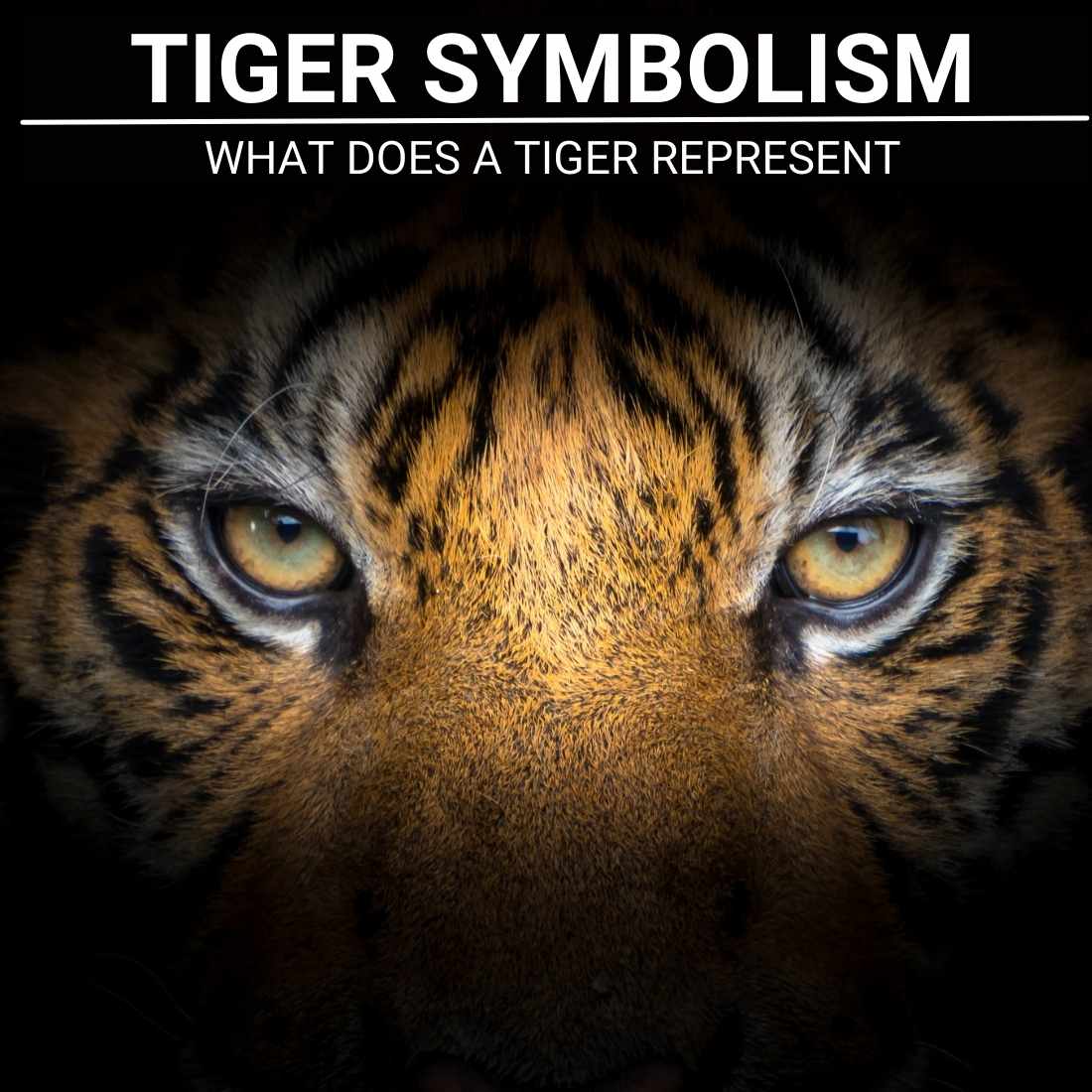 Tiger Symbolism