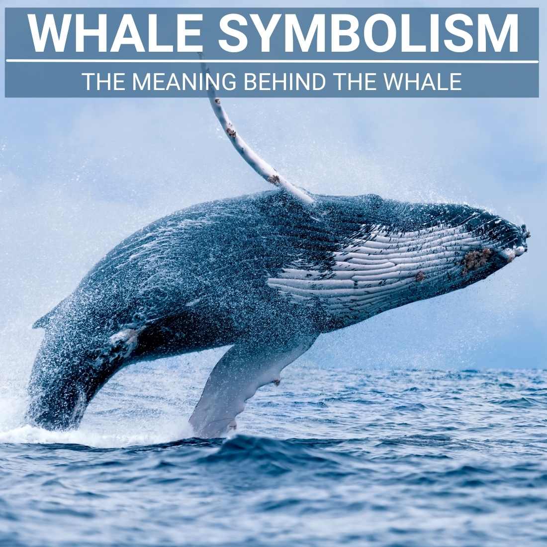 Whale Symbolism