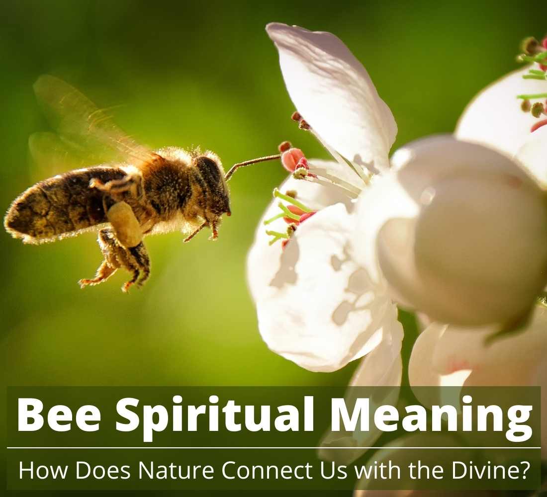 bee spiritual meaning