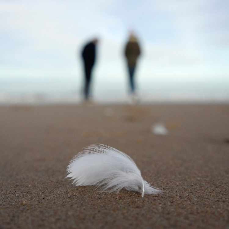 Bw feather spiritual meaning
